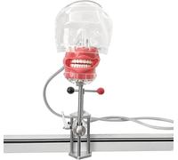 Oral Dental Simulator Manikin Head Simple Simulation Head Implant Teaching Exchange 1:1 Teaching and Research for Teaching Practice A