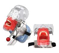 Oral Dental Simulator Manikin Phantom Head Model Dental Phantom Head Model for Dentists and Dental Assistants Practical Demonstration A