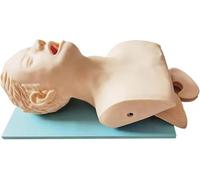 Oral Nasal Intubation Airway Management Trainer,Intubation Manikin Teaching Model,Learning Display and Collectibles