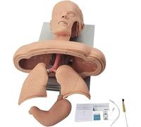 Oral Nasal Intubation Manikin,Intubation Manikin Airway Management Trainer,with Tooth Alarm Device Simulator Airway Management Trainer Intubation Head Teaching