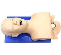 Oral Nasal Intubation Manikin Training Model, Airway Management PVC Demo Teaching Tool for Medical Study