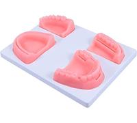 Oral Suture Training Model, Silicone Dental Suture Pad Kit for Hospital Students Vets Practicing Suturing and Implants on Soft Gum Teeth