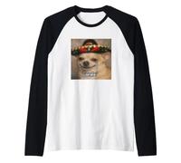 Órale Funny Cute Chihuahua Dog Sombrero Blurry Meme Raglan Baseball Tee