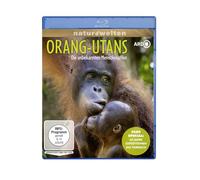 Orang-Utans - Die unbekannten Menschenaffen (plus Special: 60 Jahre Expeditionen ins Tierreich) [Blu-ray] [Region B] [2025]
