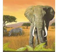 Orange Africa Border Wallpaper - Safari Wildlife Sunset Savannah - Realistic Illustrative - Paste The Paper