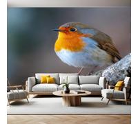 Orange and Gray Mural Wallpaper Bird Robin Photo Wallpaper 3D Effect 200 x 140 cm Non-Woven Wall Mural Home Bedroom Living Room Tv Background Poster Decoration
