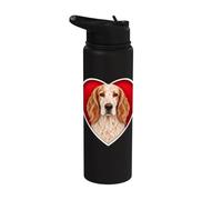 Orange Belton English Setter Heart Stainless Steel Insulated Water Bottle