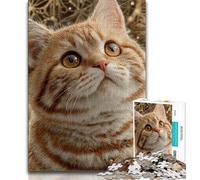 Orange Cat 1000 Piece Jigsaw Puzzles for Adults Gifts,Stress Reliever Difficult Challenge Deal As Gifts for The Whole Family (38x26cm)