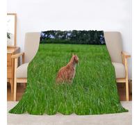 Orange Cat Flannel Blanket Grassland Throws for Sofas, Soft Cosy Plush Throw, Lightweight Fluffy Blanket for Bed, 3D Print Design Throw Adults Kids Bedroom Decor 80x90inch·A4830