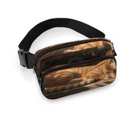 Orange Cat Sleeping Fanny Pack for Women Men Waist Bag Belt Bag Adjustable Casual Bag for Travel Sports Hiking, white, 7.9x5.1inches