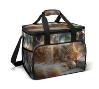 Orange Cat Sleeping on The Windowsill Camping Cooler Bag Insulated Beach Coolers Portable Leak Proof Bags with Shoulder Strap