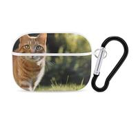 Orange Cat Stands on The Grass Compatible with Airpod Pro Case PC Scratch-Resistant Drop-Proof Protective Cover with Keychain