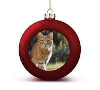 Orange Cat Stands on The Grass Cute Baubles Christmas Balls