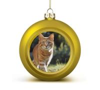Orange Cat Stands on The Grass Cute Baubles Christmas Balls