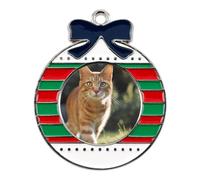 Orange Cat Stands on The Grass Cute Christmas Pendants Circular