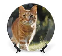 Orange Cat Stands on The Grass Decorative Plate with Display Stand Ceramic Art Crafts Ornaments for Home Office Wall Decor