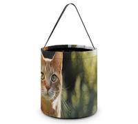 Orange Cat Stands on The Grass Halloween Tricking Or Treating Bag