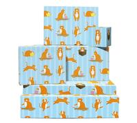 Orange Cat Wrapping Paper - 6 Sheets Gift Wrap for Cat Lovers Kids or Friends - Birthday All Occasion Cute Tabby Cat Design with Hearts and Stars - Recyclable - Comes with Tags by Central 23