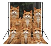 Orange Cats Backdrop for Photography, 5x7 FT | Seamless Background For Studio, Polyester Fabric, Roller Pocket On Top, Non Reflective Photo Backdrop Curtain For Photoshoot
