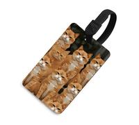 Orange Cats Luggage Tags Durable TPU Suitcase Tag with Info Card, Scratch-Resistant Bag Tags for Suitcases, Travel Bags & Backpacks, Easy to Identify