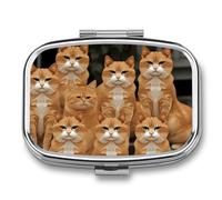 Orange Cats Pill Box Elegant Metal Pill Case with 2 Compartments, Slim Portable Medicine Organizer for Purse, Pocket, Travel