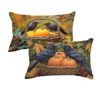 Orange Color Cushion Covers 30 x 50 cm Small Cushions Pumpkin Pillow Cases 2 Pack,Velvet Decorative Pillows Sofa Cushions with Invisible Zipper Rectangle Cushion Covers Decor Pillow Protectors w0u-107