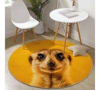 Orange Color Easy to Clean Round Area Rugs, Cute Minimalist Meerkat Portrait Print Theme Carpet, Low-Pile Home Decoration Carpet with Non-Slip Backing for Living Room Bedroom Bedside Kids Rug, 90 cm