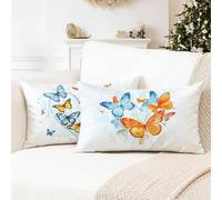 Orange Color Pillow Cases 2 Pack 70 x 90 cm Blue Cushion Covers,Decorative Pillows,Nvisible Zipper Cushion Inserts,Double Sided High-Definition Printing Sofa Cushions, is Give Gifts for Women 0R-576