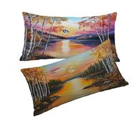 Orange Color Pillow Cases 2 Pack Brown Cushion Covers 20 x 28 inch Rectangle Throw Pillow Covers Velvet Cushion Covers With Invisible Zipper Soft Breathable for living Room Decor, Womans Gifts T0T954