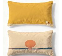 Orange Color Pillows 2 pack Simplicity Cushion Covers 16x24in Velvet Cushion Covers With Lnvisible Zip Rectangle Pillowcase for Autumn Home Living Room Bedroom Office Decorative Pillows for Bed Q-494U