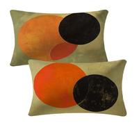 Orange Cushion Covers 40 x 60 cm Sofa Cushions Set of 2 Outdoor Cushions Black Velvet Cushion Covers with Invisible Zipper Decorative Pillows for Garden Patio Bench Balcony Bed Autumn Decor 2m-485