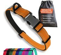 Orange Dog Collar Small Dogs - Strong Reflective Adjustable Padded Dogs Collars - Metal Buckle, Aluminium V-ring, Dog Safety