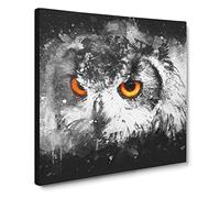 Orange Eyed Owl Paint Splash Canvas Print | Gallery Wrapped 30mm Frame Wall Art | 14x14 inches | Ready to Hang | Modern Animals Picture | Living Room Bedroom Lounge Office