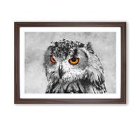 Orange Eyed Owl Painting Framed Print | A2 Walnut Framed Wall Art | Ready to Hang | Modern Animal Picture | Living Room Bedroom Lounge Office