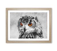 Orange Eyed Owl Painting Modern Art Framed Print | A2 Oak Framed Wall Art | Ready to Hang | Modern Animal Picture | Living Room Bedroom Lounge Office