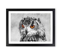 Orange Eyed Owl Painting Modern Art Framed Wall Art Print, Ready to Hang Picture for Living Room Bedroom Home Office Décor, Black A3 (46 x 34 cm)