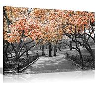 Orange Floral Canvas Wall Art Large 36x24 Inch, Ready to Hang Framed Print
