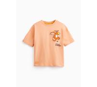 Orange Julia Donaldson Zog Graphic T-Shirt 5-6 years