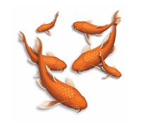 Orange Koi Fish Stickers, Hardwearing Water and Weatherproof 0% Transparency Decals, Cover Marks, Sea Life Wall Decor, Cars & Home Projects. (Goldfish)