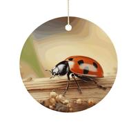 Orange Ladybug on Beige Background Double-Sided Ceramic Christmas Ornaments - Round Hanging Mini Xmas Tree Decorations, Ideas for Farmers, Rustic Home Decor for Indoor Outdoor Tree Decor