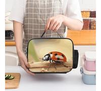 Orange Ladybug on Beige Background Insulated Lunch Bag for Women Lunch Box Large Capacity, Leakproof Tote with Detachable Handles- 5-Hour Cold/Hot Retention Cooler Bag for Office, Picnic, Camping