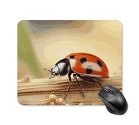 Orange Ladybug on Beige Background Mouse Pad Square Laptop Mouse Mat Cute Computer Mousepad Keyboard Pad Non-Slip Desk Pads for Gaming Office Work Home 20 * 25cm