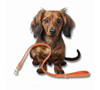 Orange Leather Dog Lead, Small Dogs & Puppies, Handcrafted in UK, Vegetable-Dyed Italian Leather and Genuine Harris Tweed Luxury Designer Pet Leash (Small)