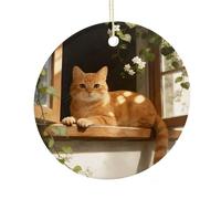 Orange Light by The Window Ceramic Christmas Ornament,Wall Hanging Decor Windows Hanging Decor Best Friend Birthday Gifts, Friendship Gifts Car Hanging Ornament Gift for Women, Girls, Teachers 2.9 in