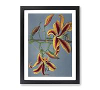 Orange Lilies By Kazumasa Ogawa Asian Japanese Framed Print | A2 Black Framed Wall Art | Ready to Hang | Asian Nature Picture | Living Room Bedroom Lounge Office
