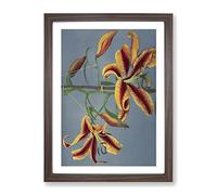 Orange Lilies By Kazumasa Ogawa Asian Japanese Framed Print | A4 Walnut Framed Wall Art | Ready to Hang | Asian Nature Picture | Living Room Bedroom Lounge Office