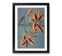 Orange Lilies by Kazumasa Ogawa Framed Print | A2 Black Framed Wall Art | Ready to Hang | Modern Nature Picture | Living Room Bedroom Lounge Office