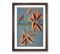 Orange Lilies by Kazumasa Ogawa Framed Print | A2 Walnut Framed Wall Art | Ready to Hang | Modern Nature Picture | Living Room Bedroom Lounge Office