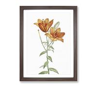 Orange Lily Flowers By Pierre Joseph Redoute Vintage Framed Print | A2 Walnut Framed Wall Art | Ready to Hang | Classic Floral Picture | Living Room Bedroom Lounge Office
