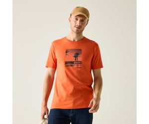 Orange male 4XL Regatta Men's Cline IX T-Shirt Orange, Size: 4XL